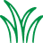 weed-image